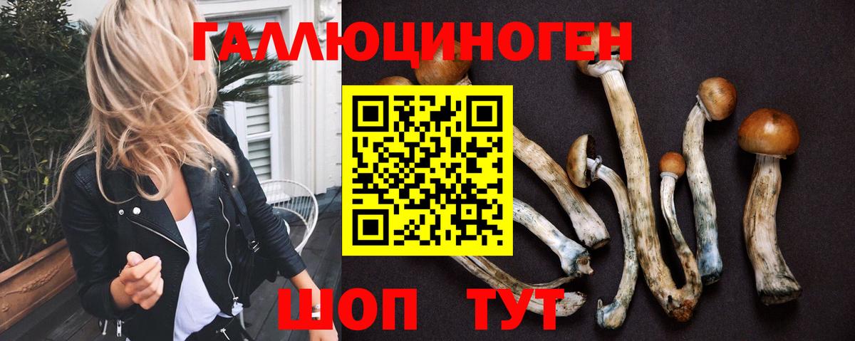 Галлюциногенные грибы MAGIC MUSHROOMS  Вход с VPN  Похвистнево  Псилоцибиновые грибы MAGIC MUSHROOMS 